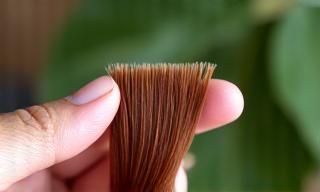 Colorations naturelles bio
